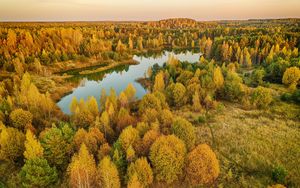 Превью обои деревья, лес, озеро, осень, пейзаж, вид сверху