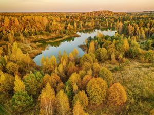 Превью обои деревья, лес, озеро, осень, пейзаж, вид сверху