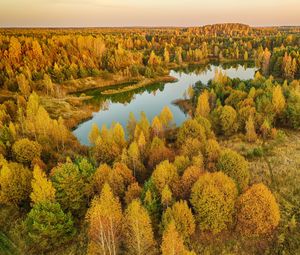 Превью обои деревья, лес, озеро, осень, пейзаж, вид сверху