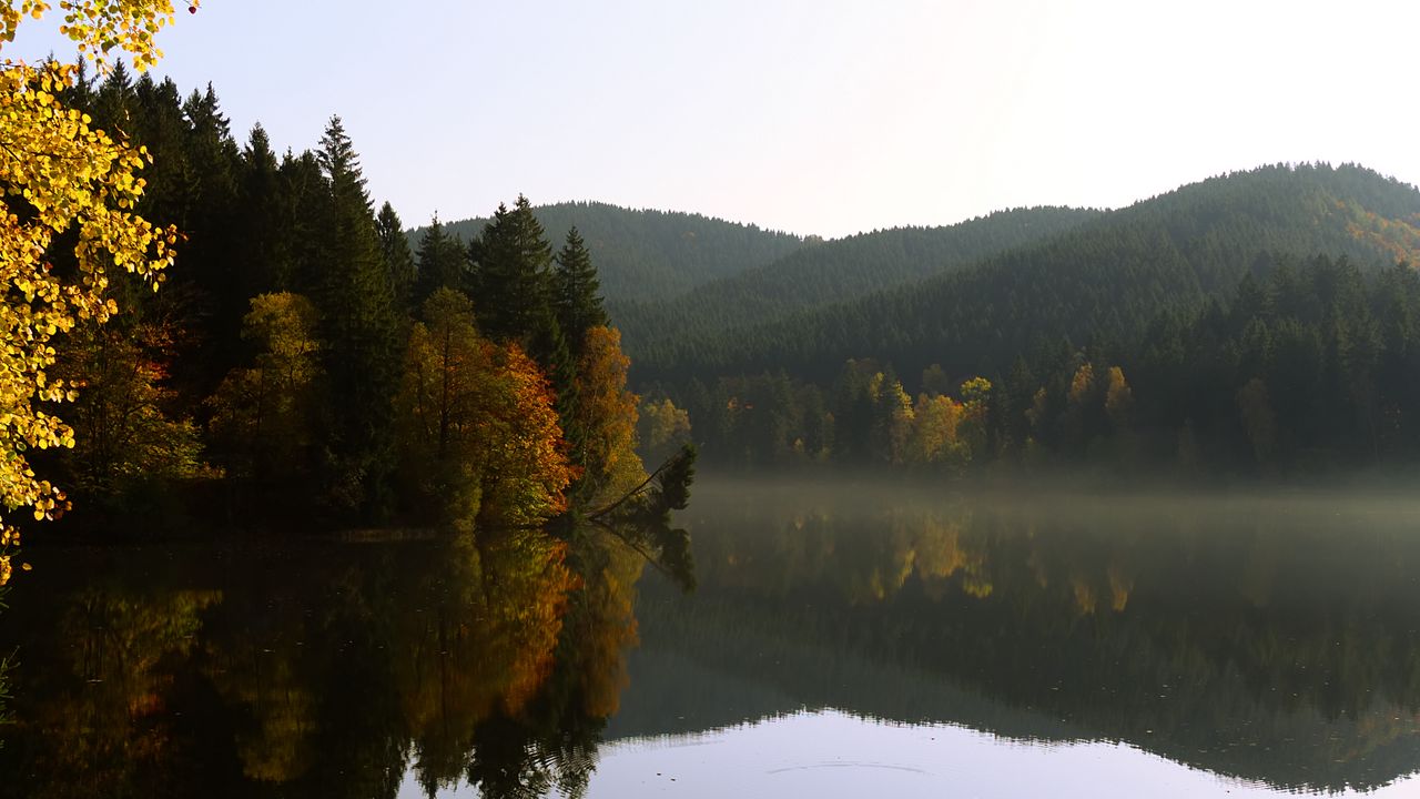 Обои деревья, лес, озеро, отражение, пейзаж