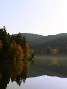 Превью обои деревья, лес, озеро, отражение, пейзаж