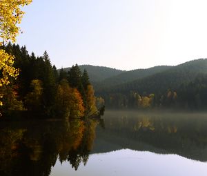 Превью обои деревья, лес, озеро, отражение, пейзаж
