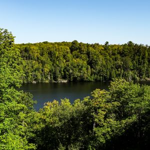 Превью обои деревья, лес, пейзаж, река, природа