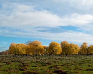 Превью обои деревья, лес, поле, облака, небо, природа