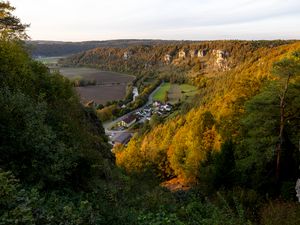 Превью обои деревья, лес, поля, дома, природа