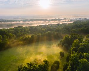 Превью обои деревья, лес, поляна, свет, пейзаж