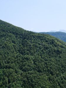 Превью обои деревья, лес, природа, холмы