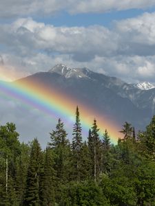 Превью обои деревья, лес, радуга, гора, пейзаж