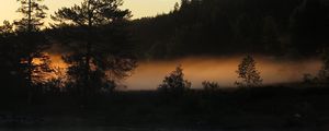 Превью обои деревья, лес, река, вечер, пейзаж