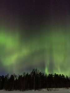 Превью обои деревья, лес, северное сияние, ночь