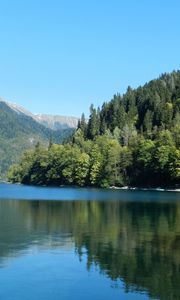 Превью обои деревья, лес, склоны, горы, водоем, дом