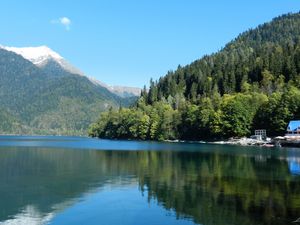 Превью обои деревья, лес, склоны, горы, водоем, дом