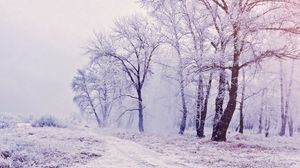 Превью обои деревья, лес, снег, зима