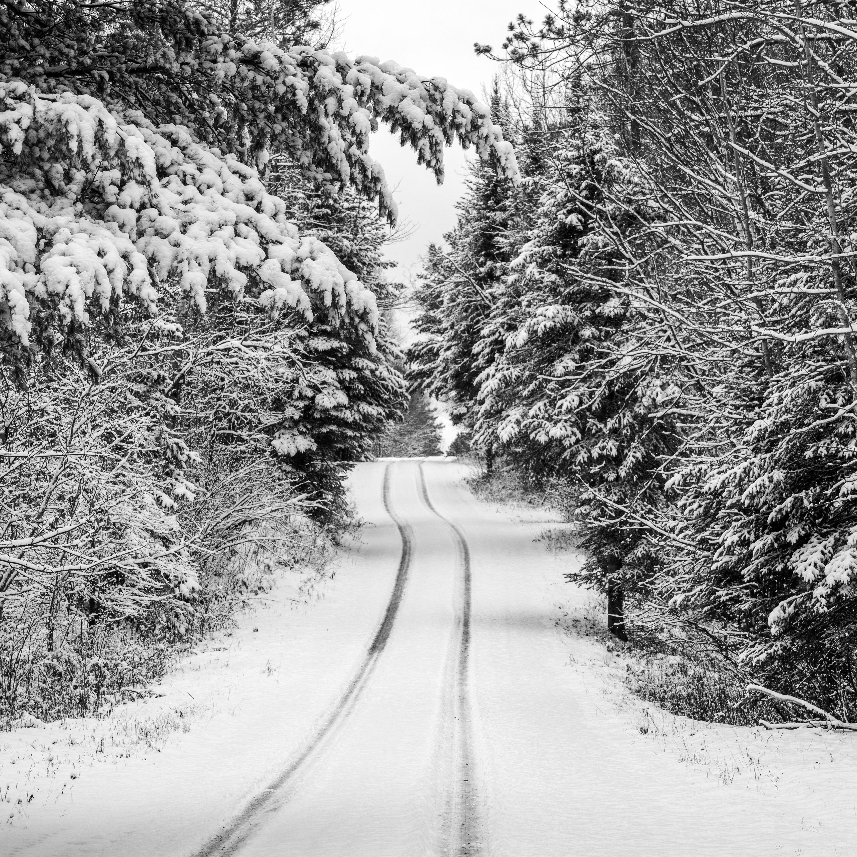 Снежная дорога в лесу вид сверху