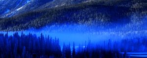 Превью обои деревья, лес, туман, снег, ель