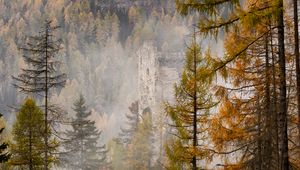Превью обои деревья, лес, туман, руины, природа