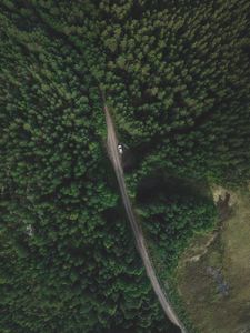 Превью обои деревья, лес, вид сверху, дорога, движение