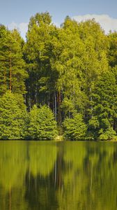 Превью обои деревья, лес, вода, отражение, озеро