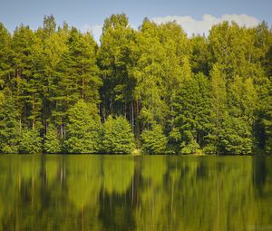 Превью обои деревья, лес, вода, отражение, озеро