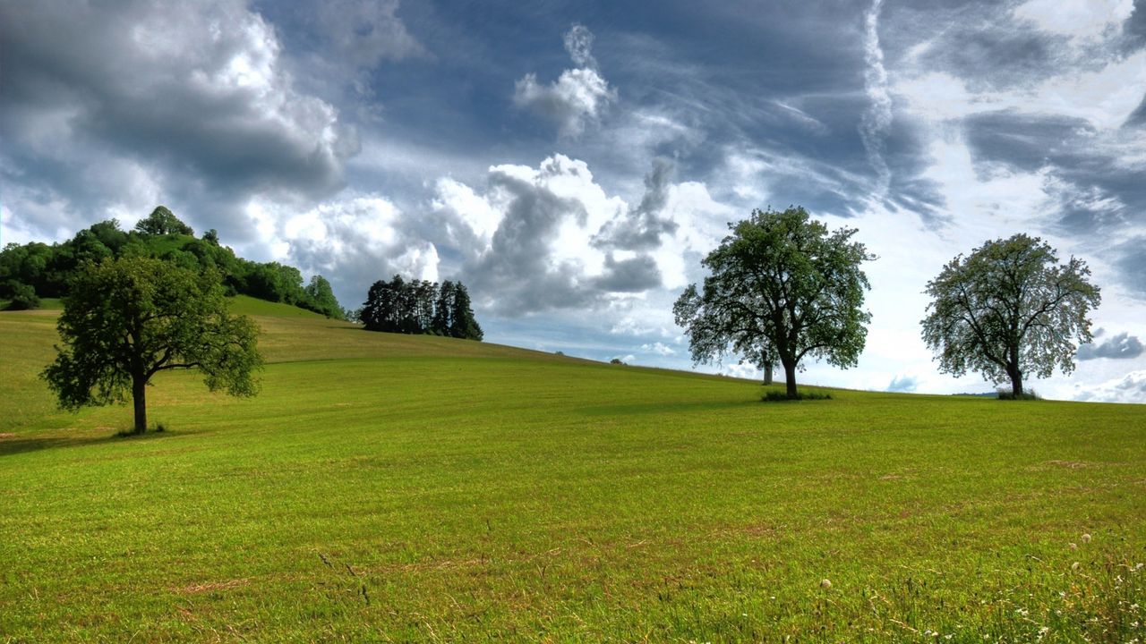 Обои деревья, лето, трава, небо, облака, воздушные