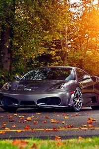 Превью обои деревья, листья, ferrari, ferrari f430 scuderia, осень