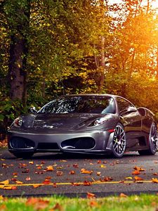 Превью обои деревья, листья, ferrari, ferrari f430 scuderia, осень