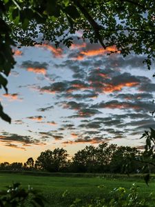 Превью обои деревья, листья, поле, сумерки, пейзаж