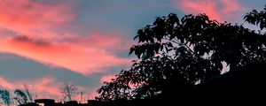 Превью обои деревья, листья, закат, небо