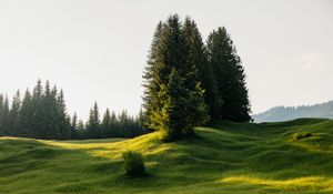 Превью обои деревья, луг, трава, природа