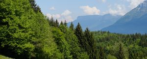 Превью обои деревья, луг, цветы, трава, пейзаж