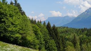 Превью обои деревья, луг, цветы, трава, пейзаж