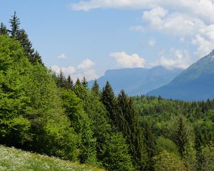 Превью обои деревья, луг, цветы, трава, пейзаж