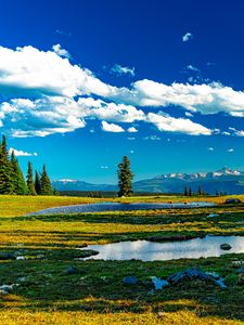 Превью обои деревья, луг, вода, трава