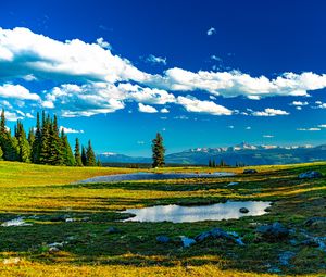 Превью обои деревья, луг, вода, трава