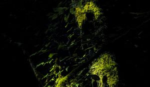 Превью обои деревья, мох, ветки, листья, темный