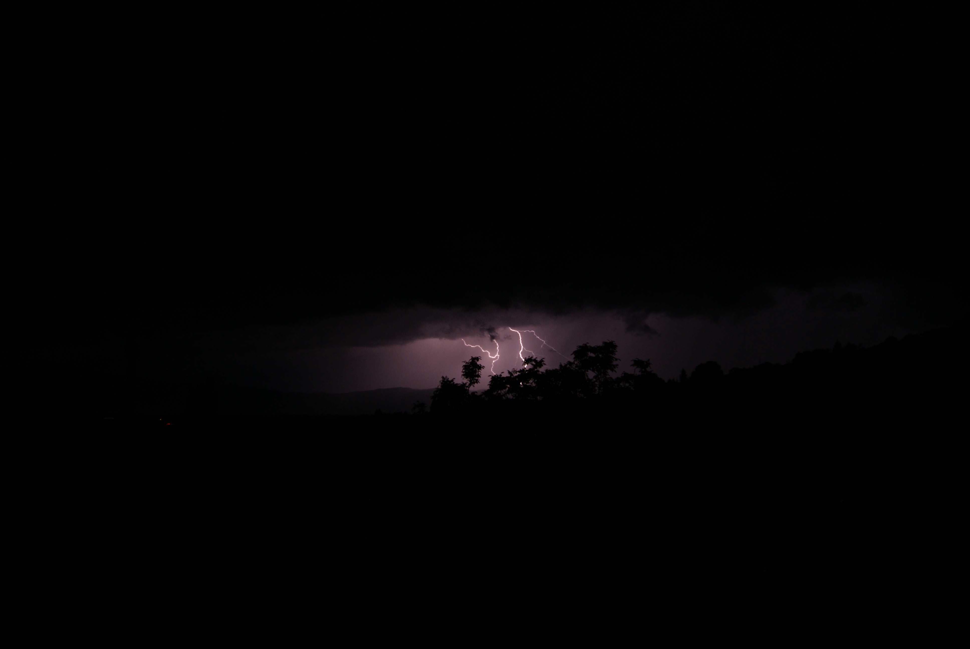 Жук пандерус. «ночь в лесу». Ночь тьма. Красивые вороны. Тьма небо.