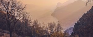 Превью обои деревья, море, горы, туман