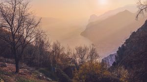 Превью обои деревья, море, горы, туман