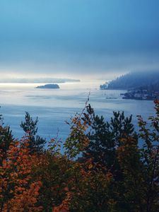 Превью обои деревья, море, туман, пейзаж