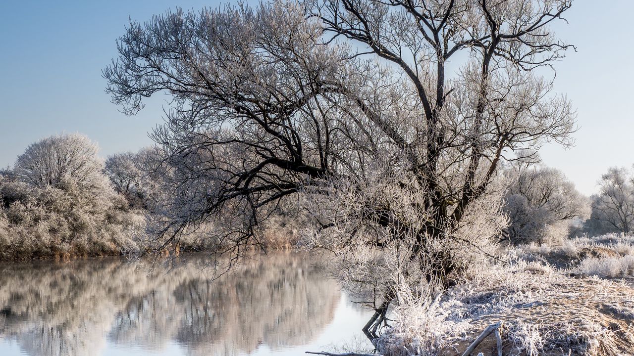 Обои деревья, мороз, озеро, отражение