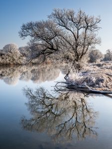 Превью обои деревья, мороз, озеро, отражение