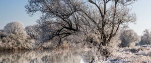 Превью обои деревья, мороз, озеро, отражение