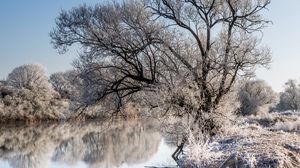 Превью обои деревья, мороз, озеро, отражение