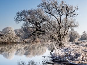 Превью обои деревья, мороз, озеро, отражение