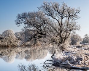 Превью обои деревья, мороз, озеро, отражение