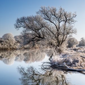 Превью обои деревья, мороз, озеро, отражение