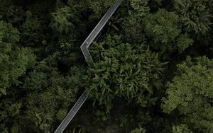 Превью обои деревья, мост, вид сверху, лес, зеленый