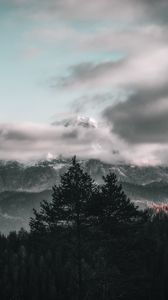 Превью обои деревья, небо, горы, облака, туман