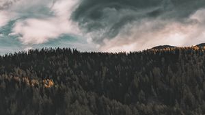 Превью обои деревья, небо, облака, лес, вид сверху