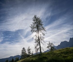 Превью обои деревья, небо, склон, трава, пейзаж, природа